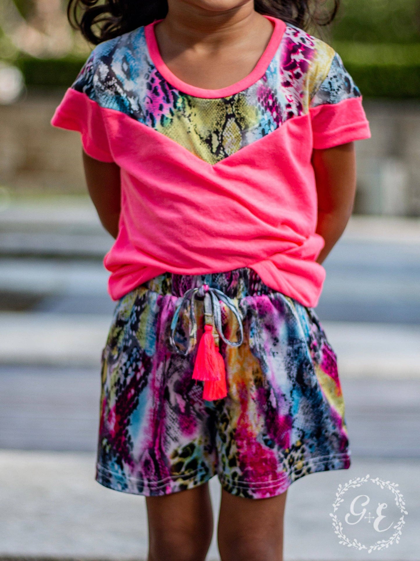 Over the Rainbow Snake Shorts