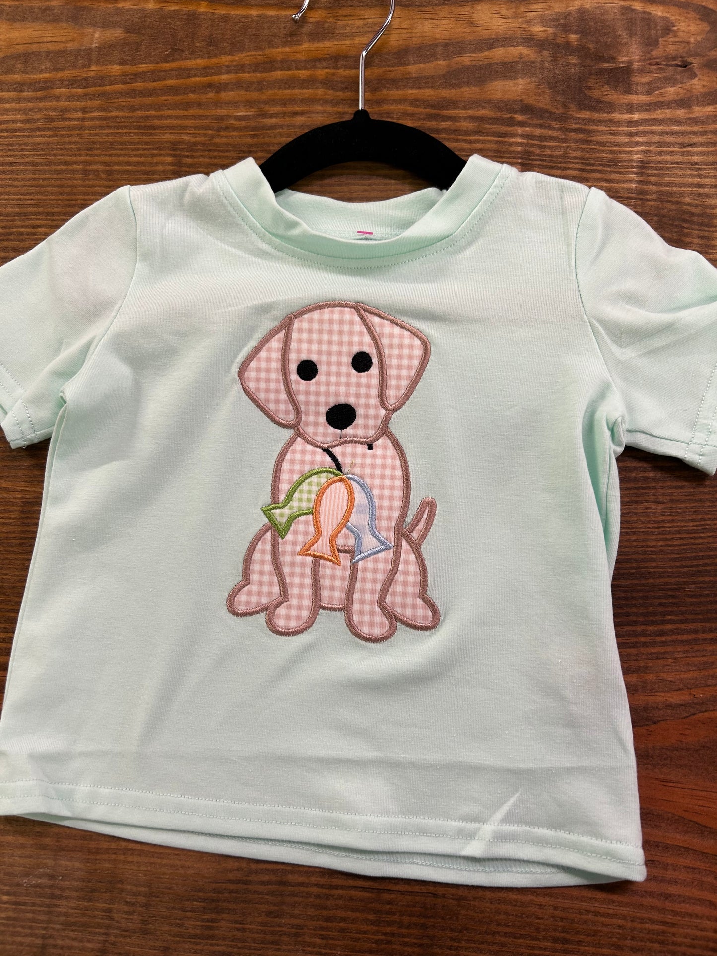 Boys mint green dog tee