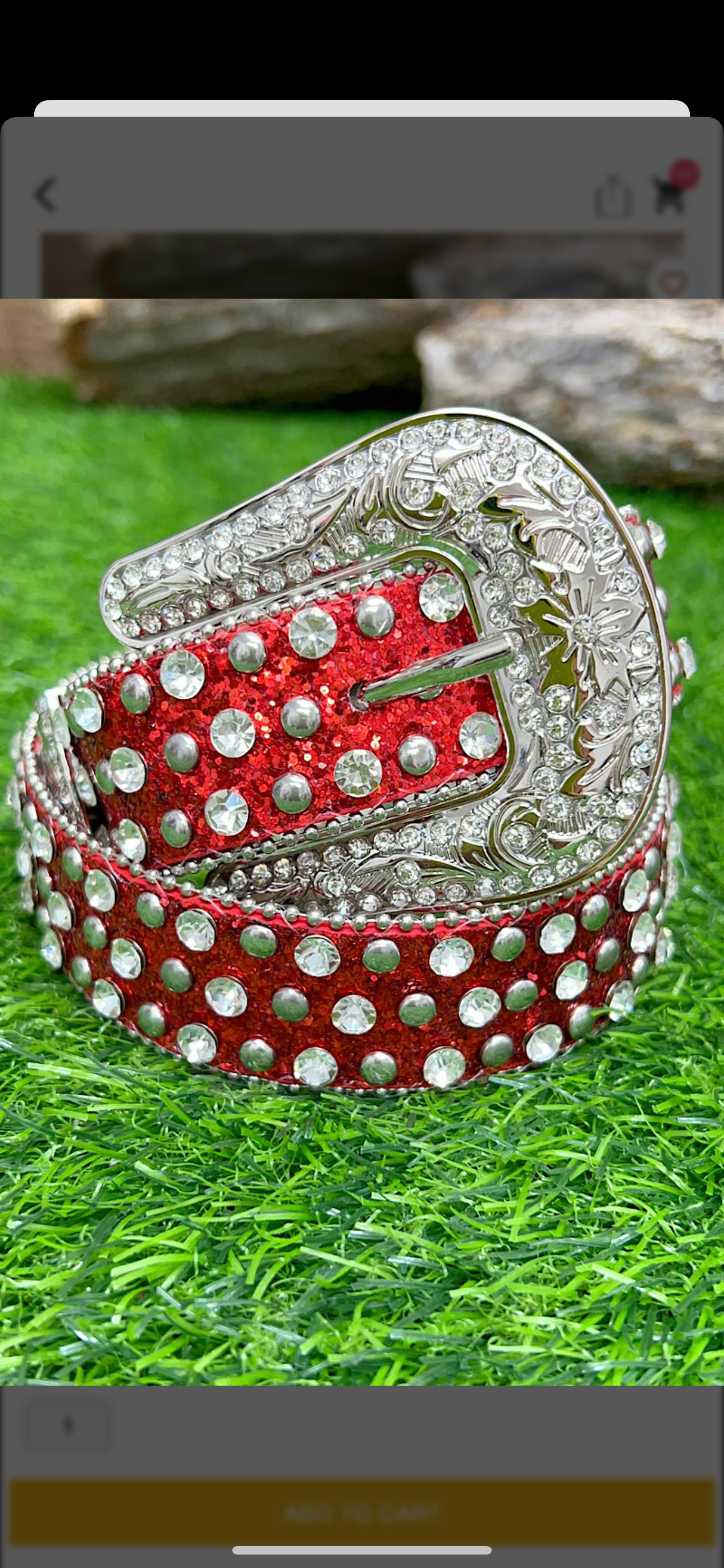 Bling Blingy Belt