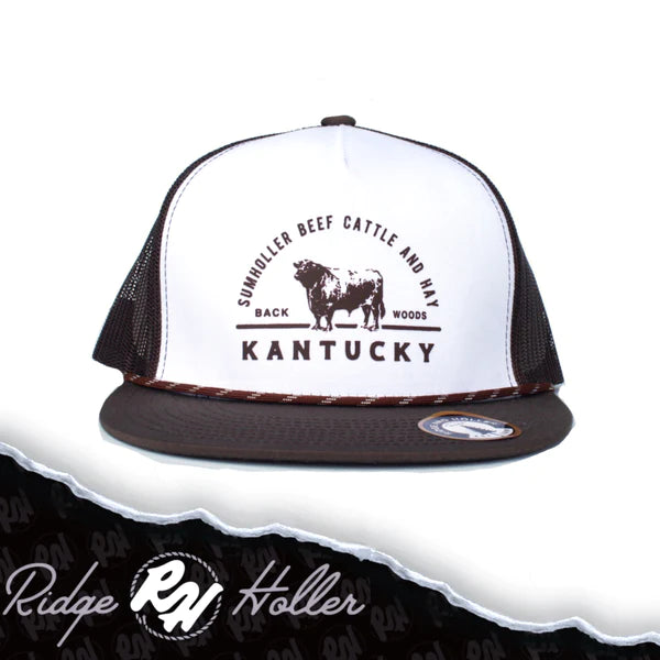 Sumholler Hat