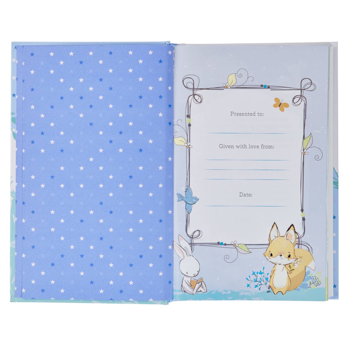 Blue Baby NLT Bible
