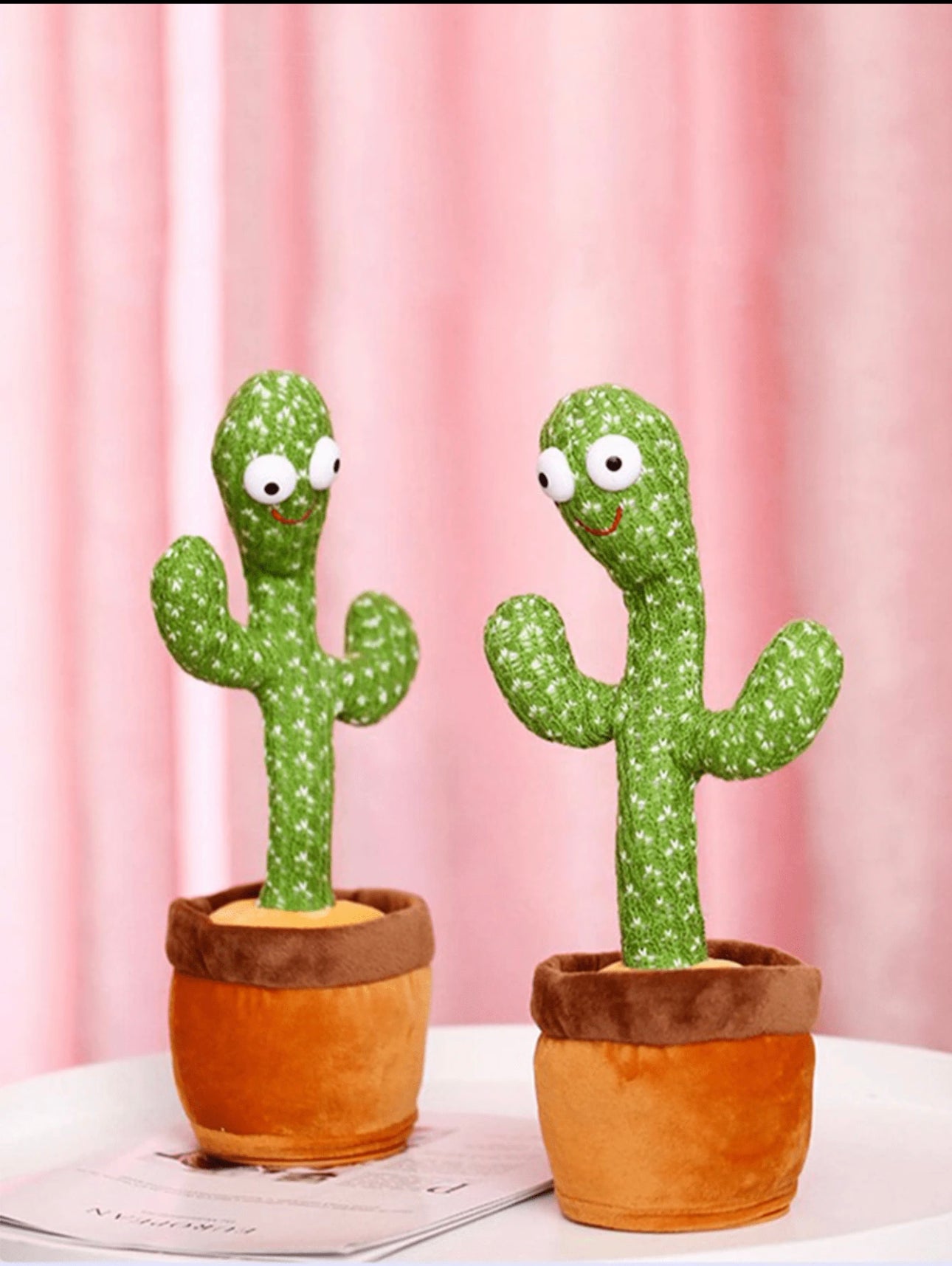 Singing Cactus