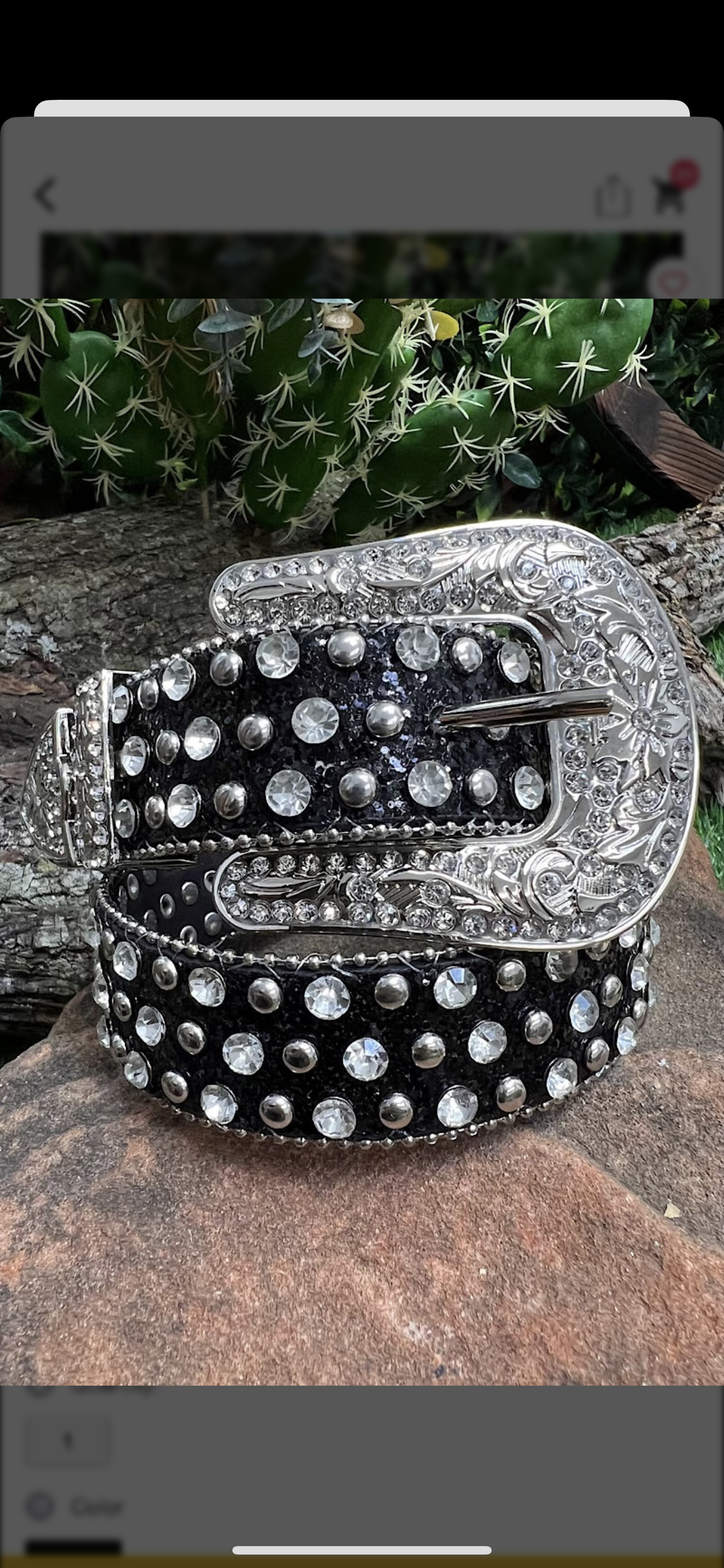 Bling Blingy Belt