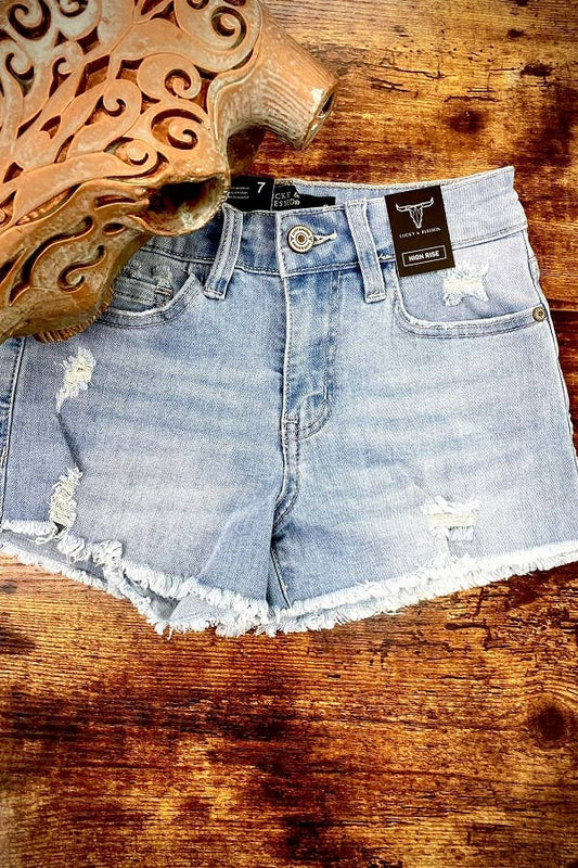 L&B Distressed Shorts